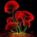 Kathy Bristow - @kathyb1007 - Twitter