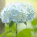 Annie Hung - @AnnieSTHung - Twitter