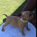 LYNDON MILLER - @lyndon_1 - Twitter