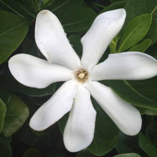 FlorenceHay's profile picture. 