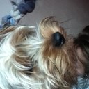 georgia proctor - @georgiaprocx - Twitter