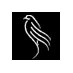 The Soiled Dove (@thesoileddove) Twitter profile photo The Soiled Dove (@thesoileddove) Twitter profile photo