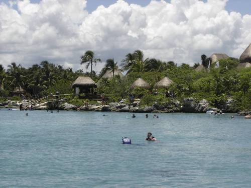 islandtimelife's profile picture. 