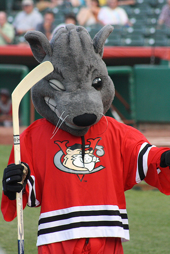 ko_12345's profile picture. 