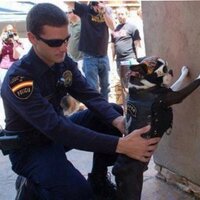 PEDRO MADUEÑO AYLLON (@pericomadu) 's Twitter Profile