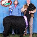 Debora Gerber - @DeboraGerber - Twitter