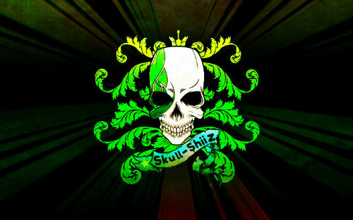 I'm from Skull clan add my on PS3 - ---Skull-Shiiz and subcrise please on youtube TheSkullOperation