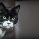 simon woods - @s_woods666 - Twitter