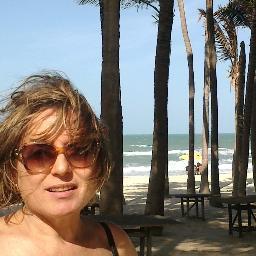 tonialourenco's profile picture. 