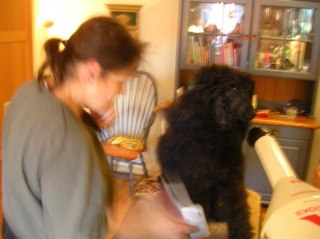 Authorized guide and pudel owner.