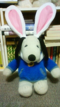 aby_tolucky's profile picture. 