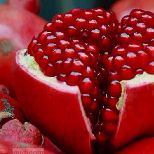 T112003's profile picture. 