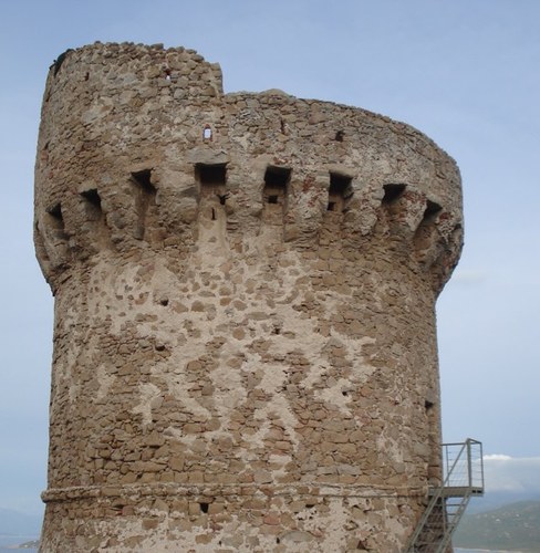 Pami2A's profile picture. 