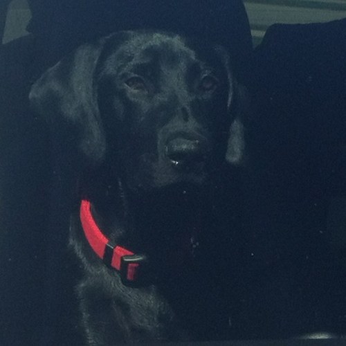 sjames5944's profile picture. 