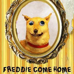 FreddieComeHome's profile picture. #FreddieFilm A surreal & comic melodrama about a family fighting over a missing dog. Trailer: https://t.co/4sJaAYlg
#Crowdfunded http://t.co/34nNwGrT