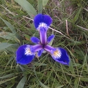 Brenda Slade - @jjbd19 - Twitter