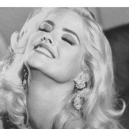 ameratGalbh's profile picture. 