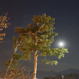 lvacoustic2's profile picture. http://t.co/03qBOldYIe