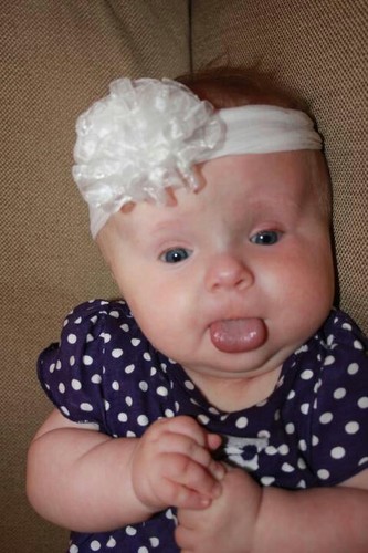 showinttown's profile picture. I don't know much but I do know Frank's an idiot...