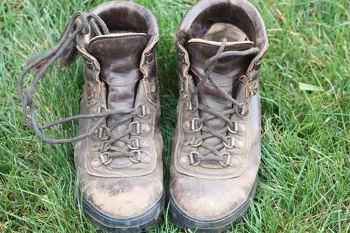 wyomingoutdoors's profile picture. A writer who loves the outdoors, Wyoming landscapes, reading, my family, bluegrass music, life, the smell of sage...