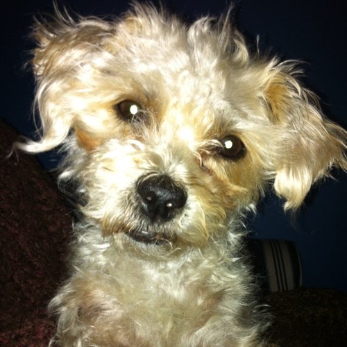 misssarahhannon's profile picture. 