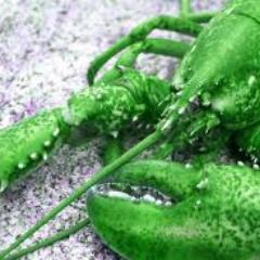 q suka dunia laut,,,,,,,,,,karna q hidup d pesisir pantai,heeeeee