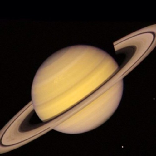 RicciottiDanilo's profile picture. 