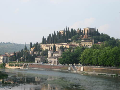 JudithPohl's profile picture. 