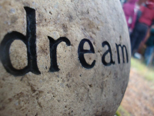 canadianrosee's profile picture. 