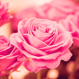 ‏‏‏‏‏
ربِ اشْرَحْ لِي صَدْرِي وَيَسِّرْ لِي أَمْرِي