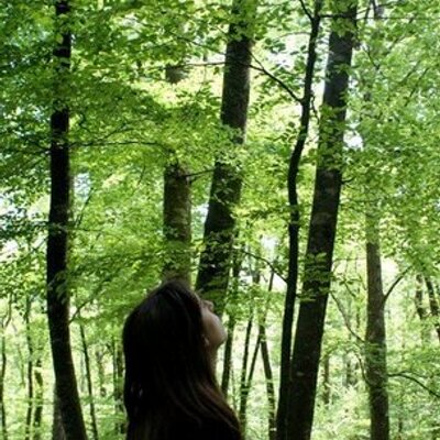 carhok's profile image