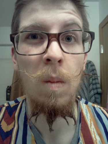 nik_pricee's profile picture. 