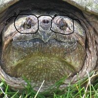 wdoreski (@wdoreski) 's Twitter Profile