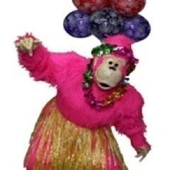 HeliumHighs's profile picture. Helium Highs for all your party and wedding needs in Thunder Bay. Expect the Unexpected.