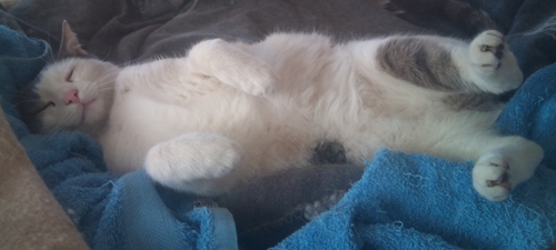 annettes72's profile picture. 