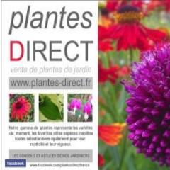 Notre gamme de plantes représente les variétés du moment et les espèces insolites...