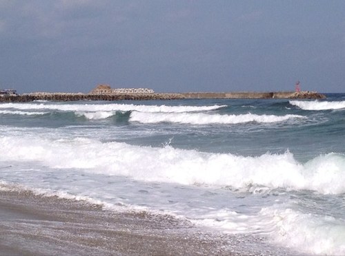 zajukim's profile picture. 따뜻한커피향을 즐길줄 알고., 사람 사는 이야기하는곳!!!!!!!