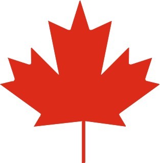 Sports (London Knights, Maple Leafs, Jays), News hound, Private Pilot, Canadian Tire Coupons