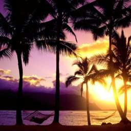 Telefoonarti's profile picture. Telefoon artikelen nodig? Vraag het aan ons en wij kunnen het misschien wel goedkoop aan u leveren.