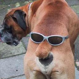 ifollowyou234's profile picture. We only have one goal in life, to follow everyone on twitter. At least we're not an egg.