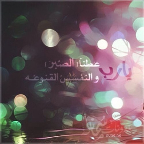 mm2mmz3's profile picture. سبحان الله والحمدلله والله اكبر ولاحول ولاقوة الابالله