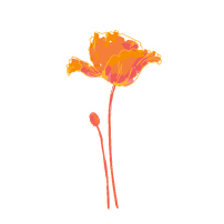 FODesigns's profile picture. http://t.co/lDYGKXiEQp
Floral Design Studio