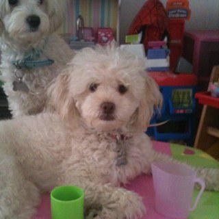 patotc06's profile picture. 