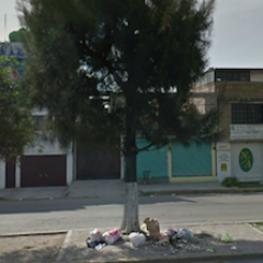 Soy la Avenida R1 en #Ecatepec. El municipio me usa para colectar la basura. ECOCIDIO en mis pocos arboles