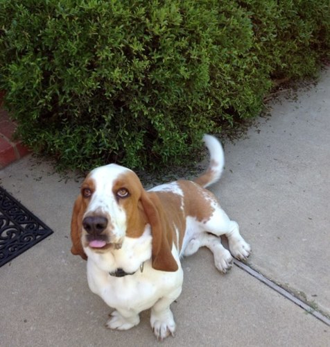 1patnichols's profile picture. 