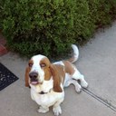 Pat Nichols - @1patnichols - Twitter