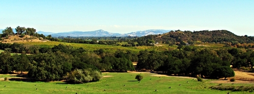 SRJCNRM's profile picture. The SRJC Natural Resource Management program introduces students to the multiple practices in the protection & preservation of the planet's natural resources.