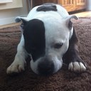 Vicky - @VickyLynch01 - Twitter