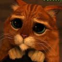 Wendy Lavender - @WendyLavender2 - Twitter