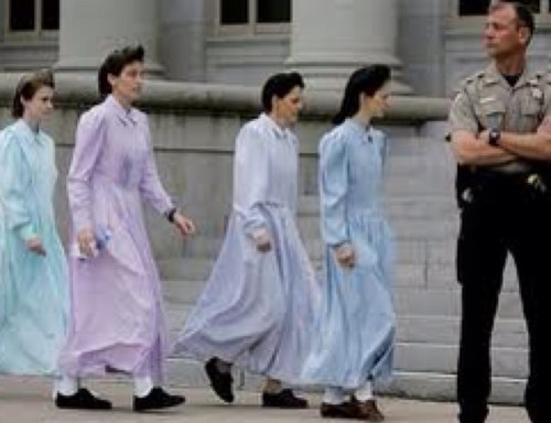 PligProblems's profile picture. Just one big happy family #FREEJEFFS (Not representing any Polygamy views/beliefs. Just for fun)